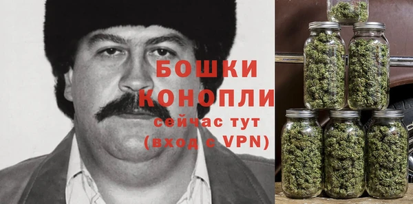 гашик Горнозаводск